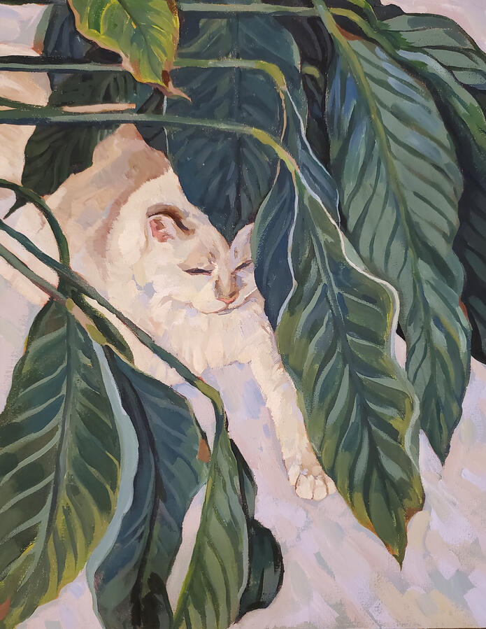 Filly Cat Peace Lilly